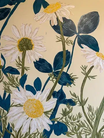 Yellow and white daisies with blue-green leaves and stems against a cream background.