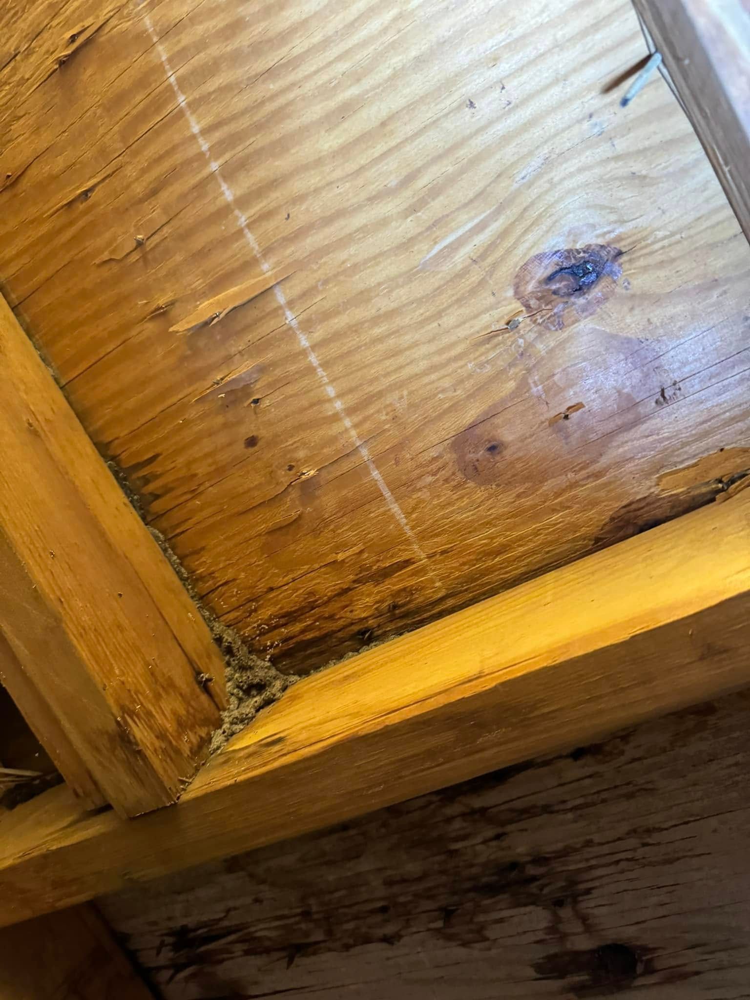 A close-up view of wooden rafters and plywood sheathing in an attic, showing some water staining and debris in the corner.