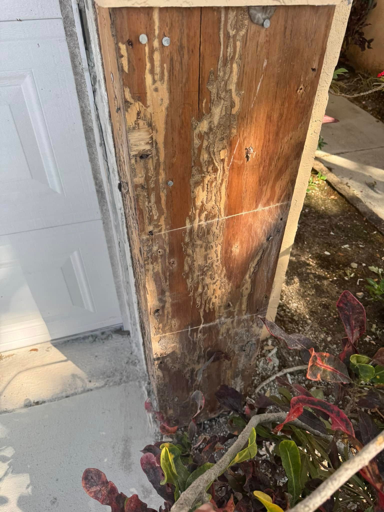 A close-up view of a wooden garage door frame showing significant termite damage and wood decay at the base.