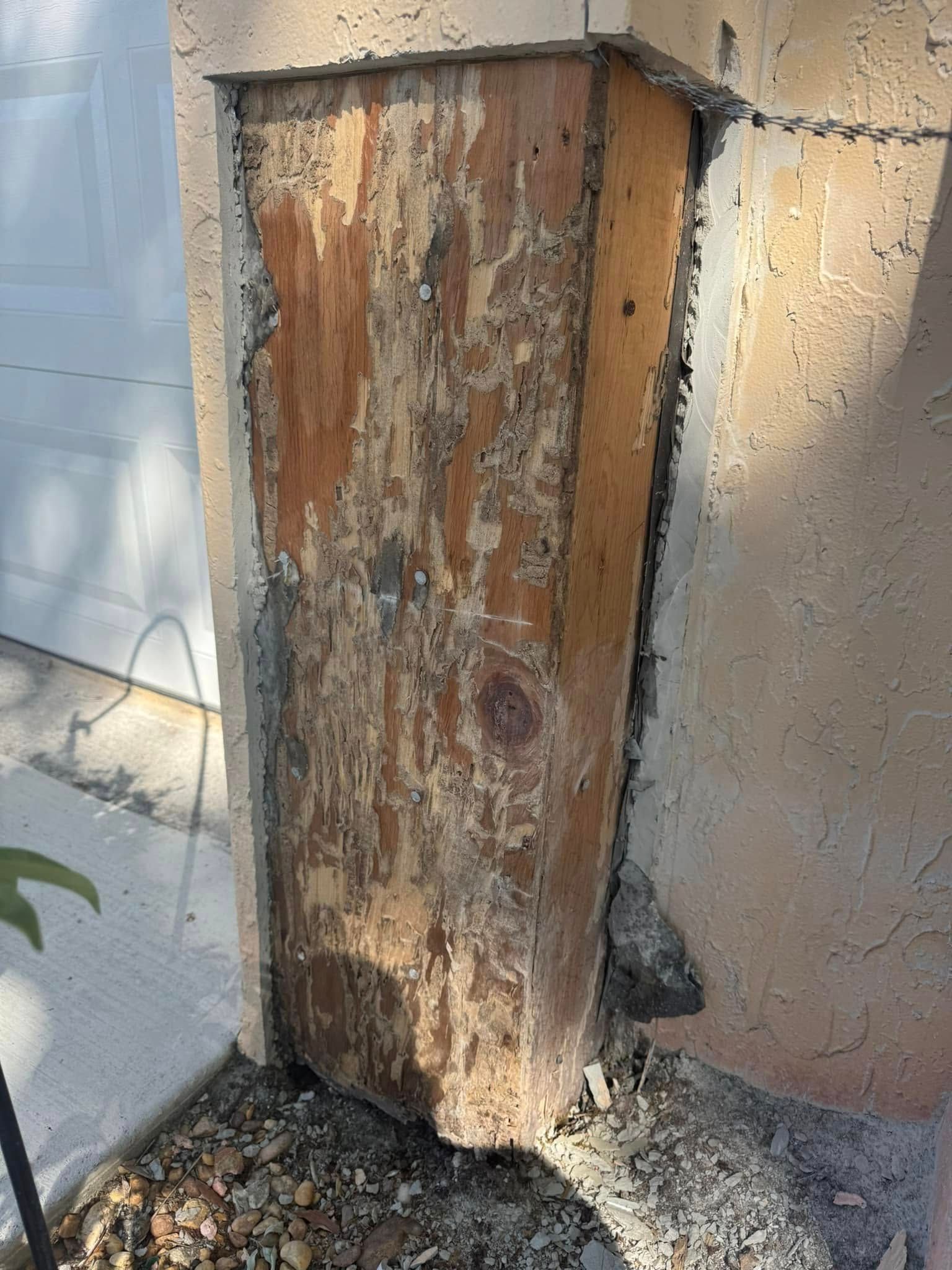 A close-up of a damaged wood post embedded in a stucco wall, showing significant decay and pest-related surface erosion.