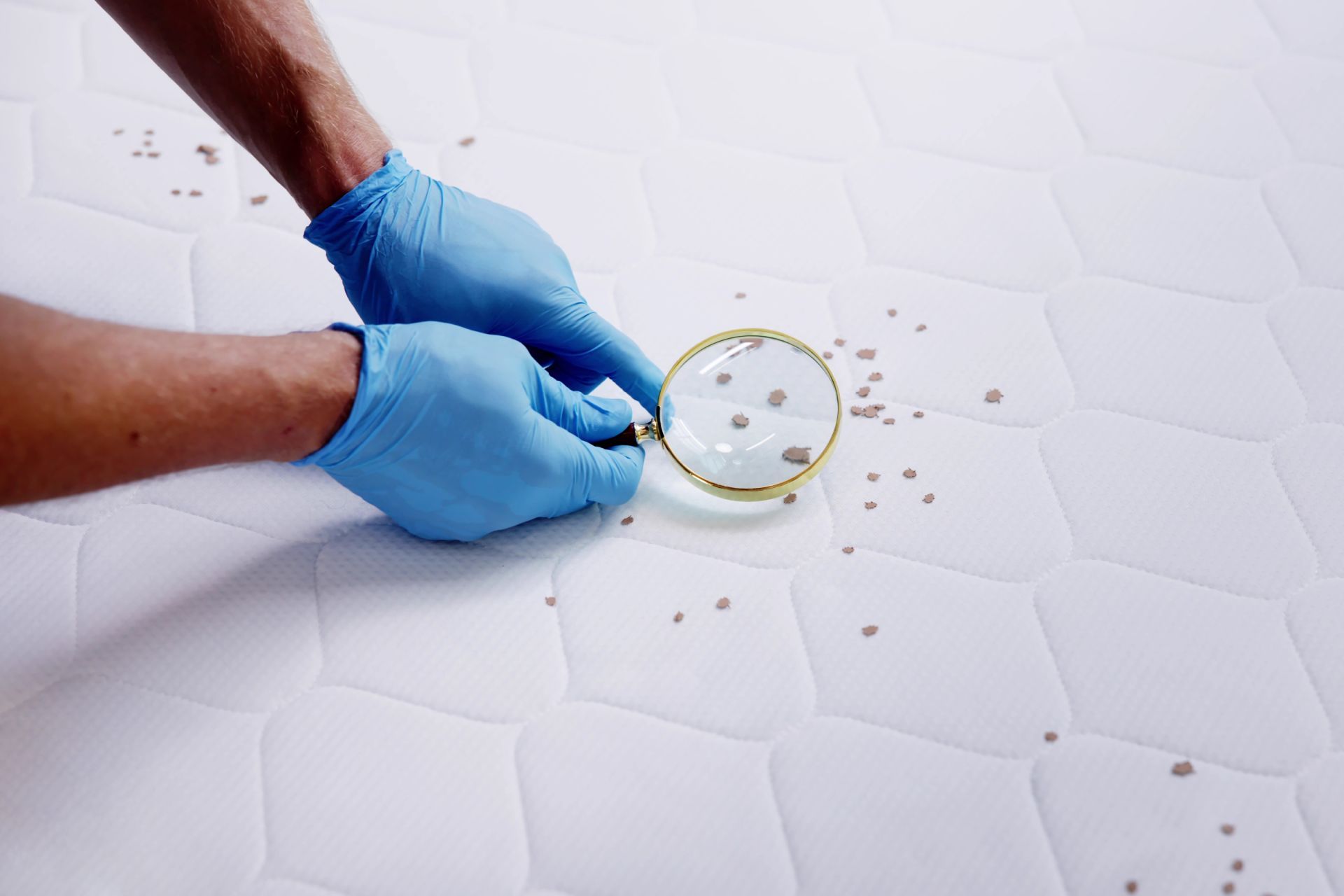 Hands in blue medical gloves use a magnifying glass to inspect small brown debris scattered across a white quilted mattress.