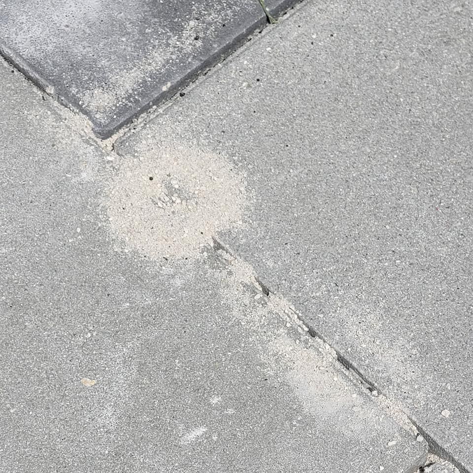 Concrete pavers with a circular patch of light-colored sand and grit filling a gap between the stones.