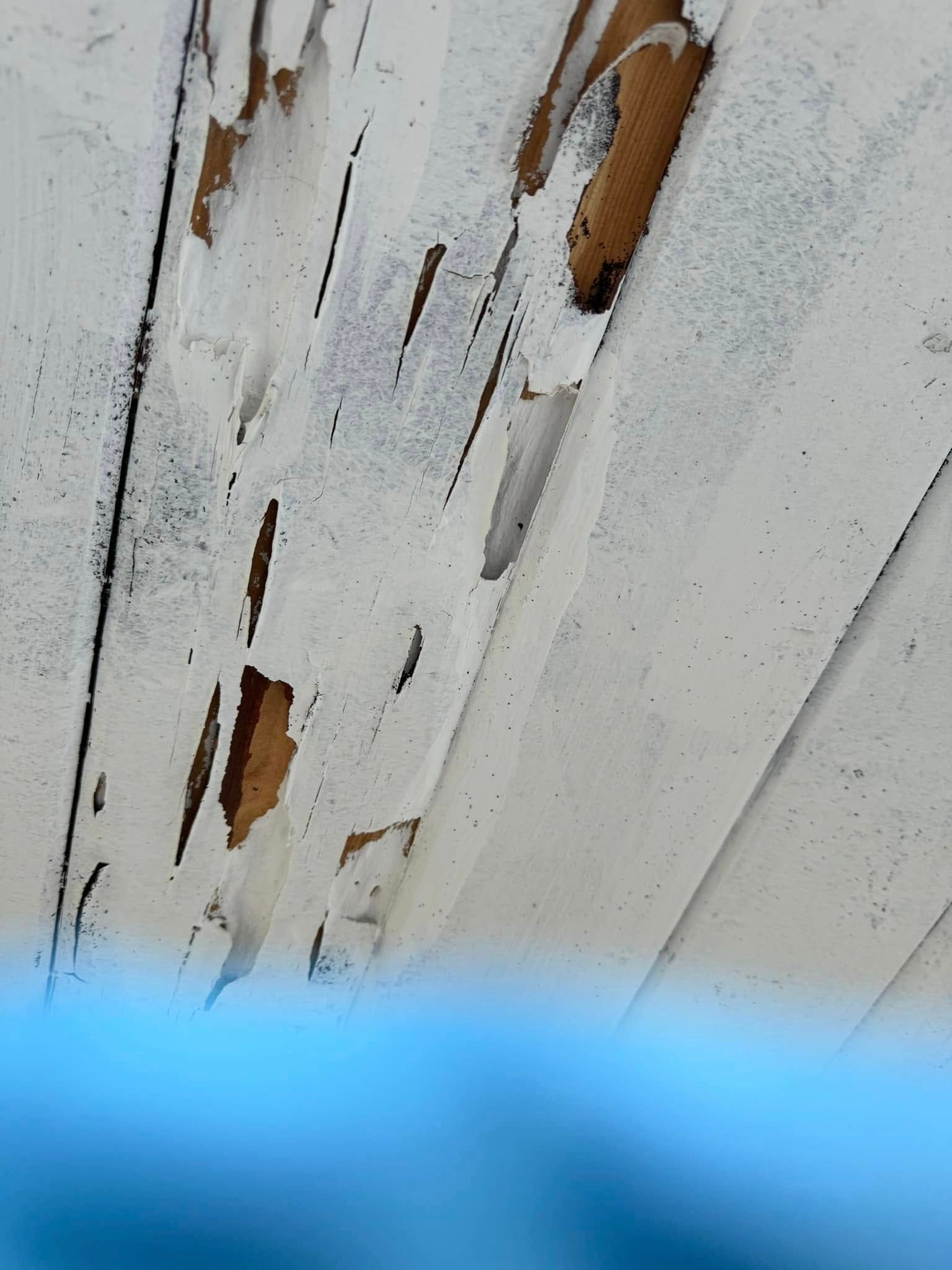 Peeling white paint on wooden siding exposing the brown wood underneath.