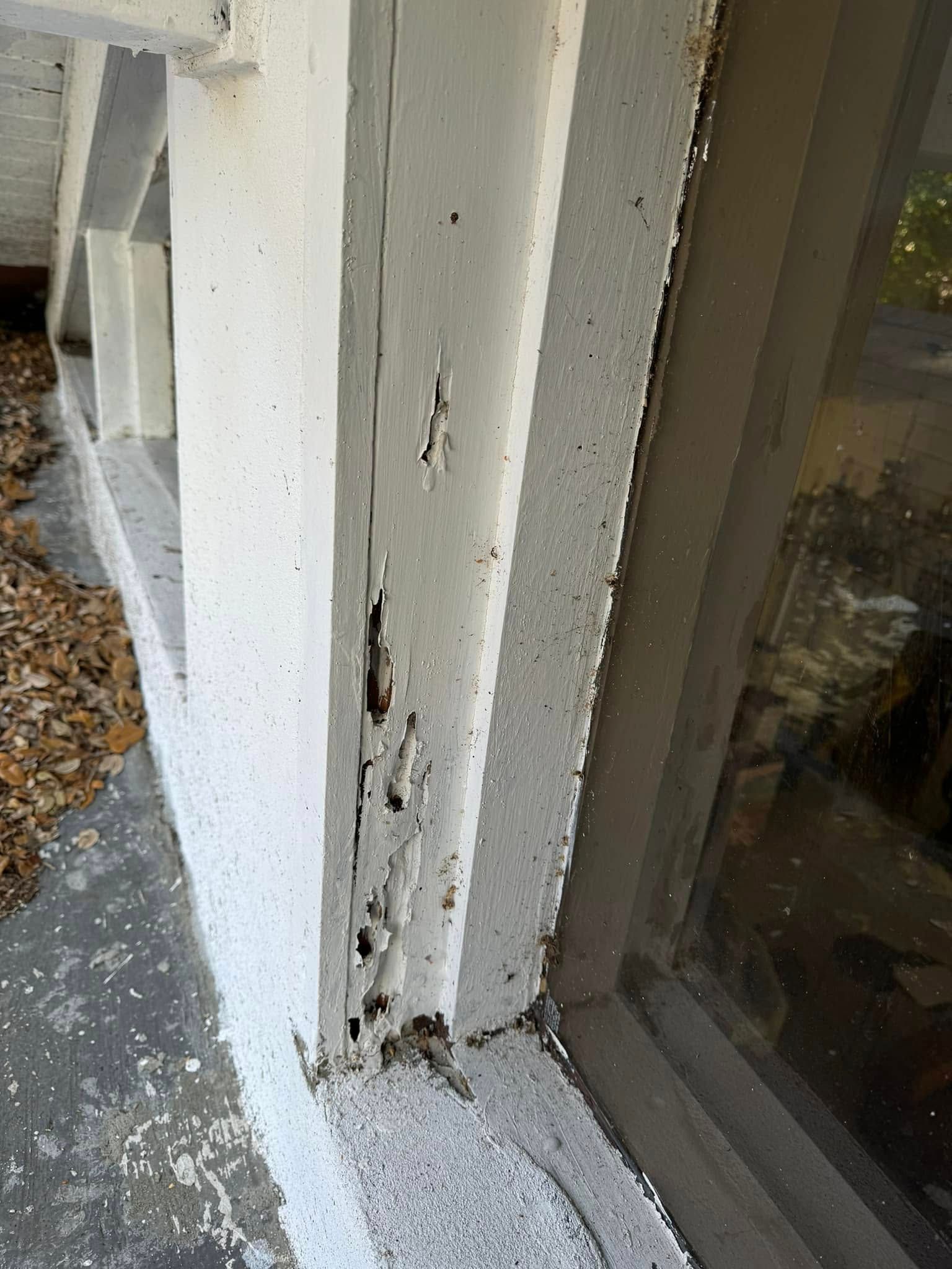 Close-up of a decaying, white-painted wood window frame with significant rotting, peeling paint, and holes near the base.