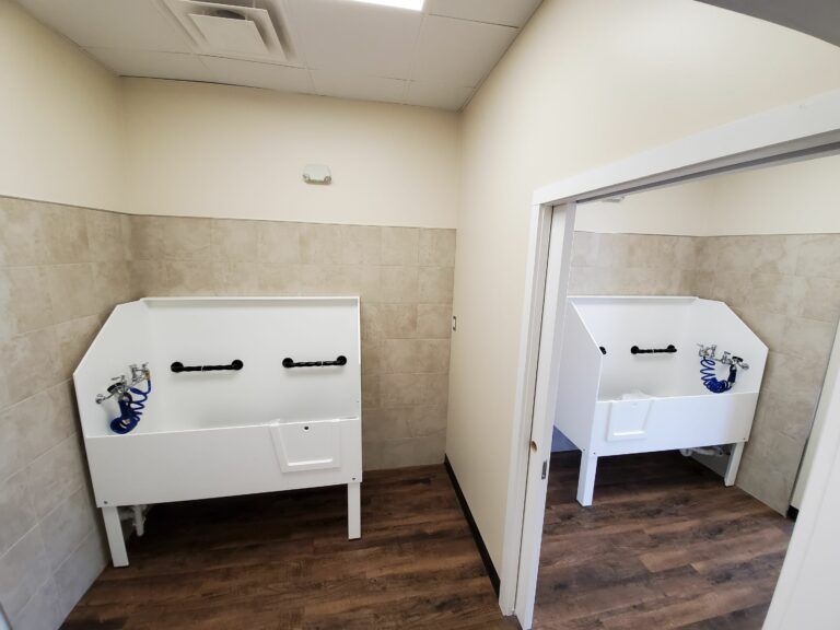 Two white pet grooming tubs with blue spray hoses, set against a tiled wall in a room with wood-look flooring.