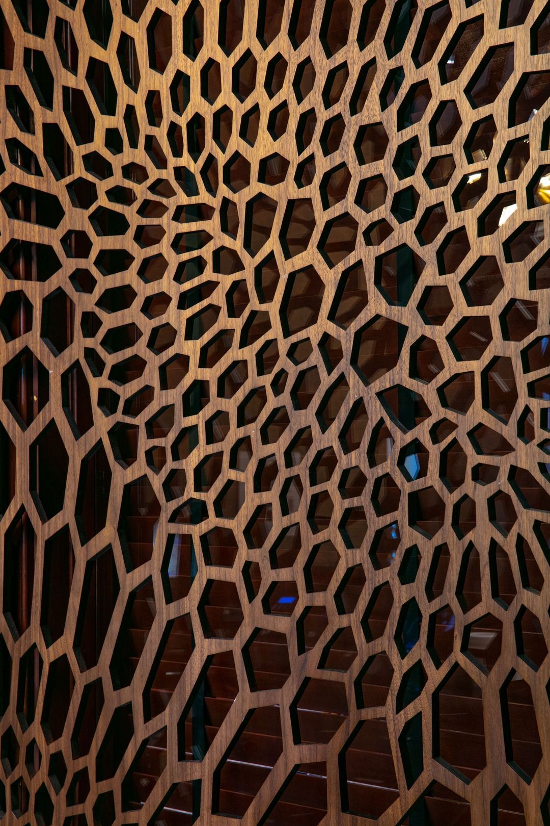 A decorative wooden screen with an intricate, organic honeycomb or cellular pattern featuring varying hexagonal shapes.