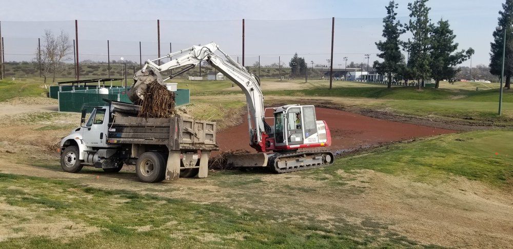 An excavator is loading dirt into a dump truck.
