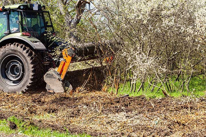 Attached to excavator forestry mulcher 