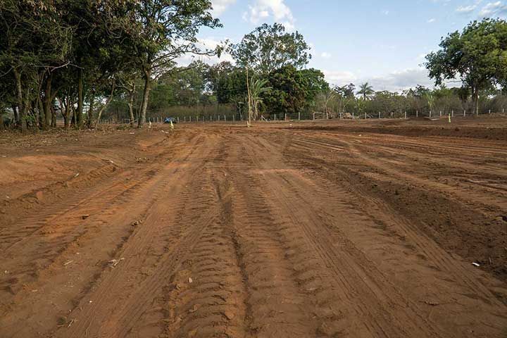 Land that local Indigenous people were living