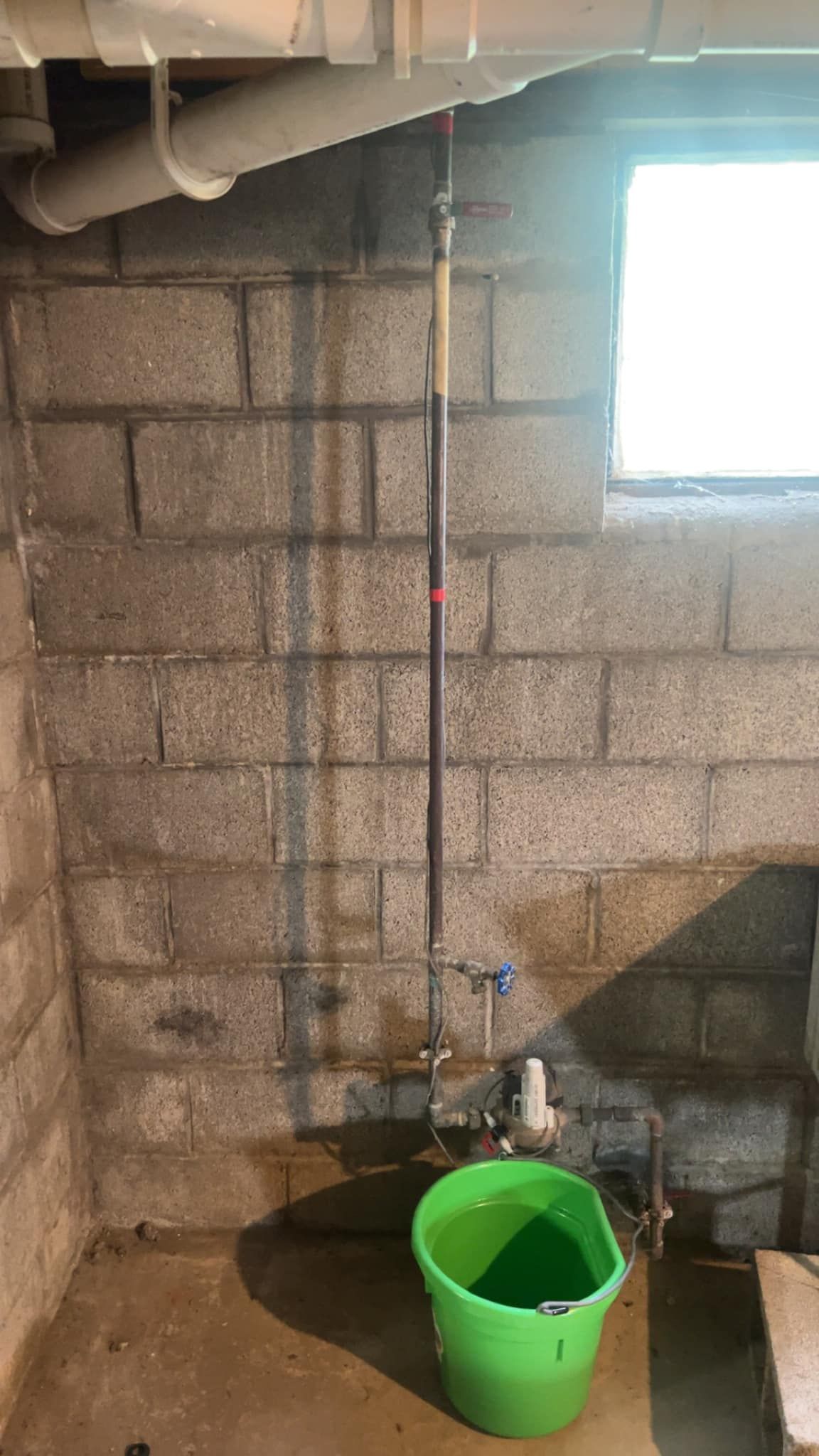A green bucket filled with water is sitting in a basement next to a pipe.