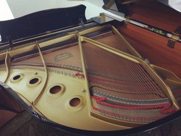 Black Baby Grand Piano Strings — Summerfield, FL — Florida Piano Services. LLC