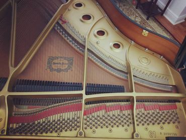 Baby Grand Piano Strings — Summerfield, FL — Florida Piano Services. LLC
