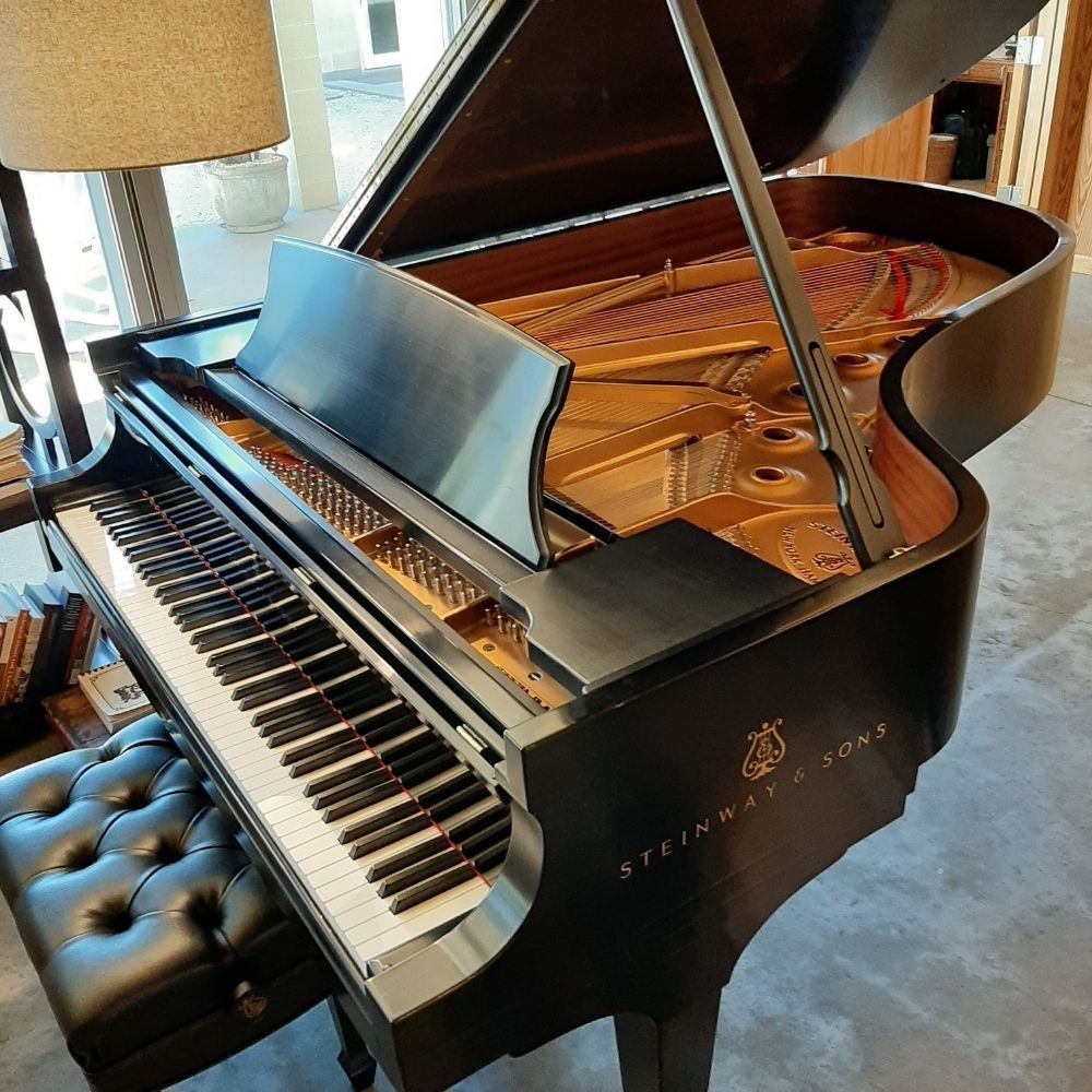 Steinway & Sons Baby Grand Piano — Summerfield, FL — Florida Piano Services. LLC