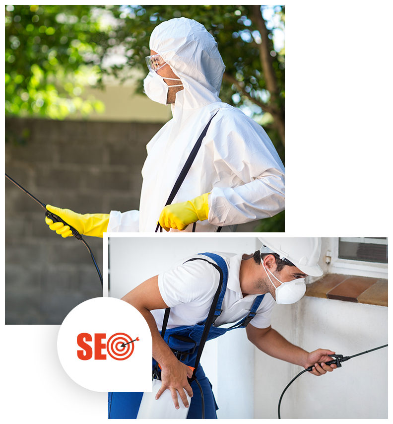 SEO For Pest Control