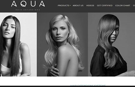 Website Design Hair Extensions