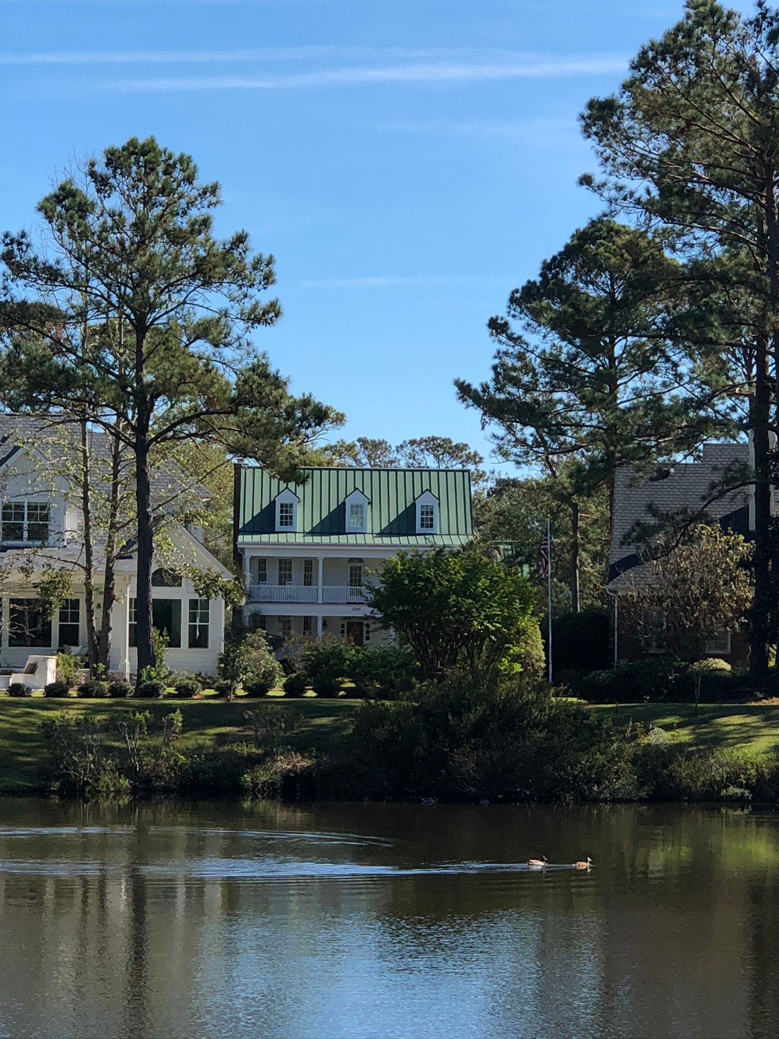 Lakeside view of houses, one with a green roof, framed by trees under a clear blue sky.