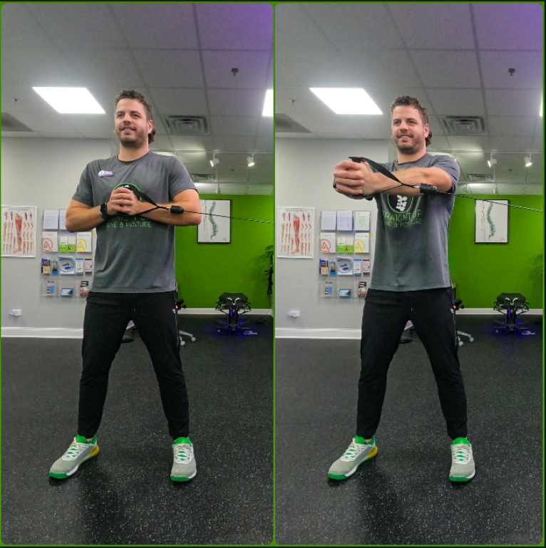 My Favorite Core Exercise: The Pallof Press - Positive Energy Physical  Therapy