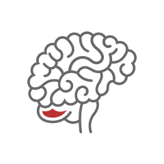 Mapeamento cerebral na Dr. Exame Sorocaba – SP