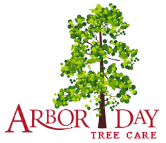 Arbor Day Tree Care LLC logo