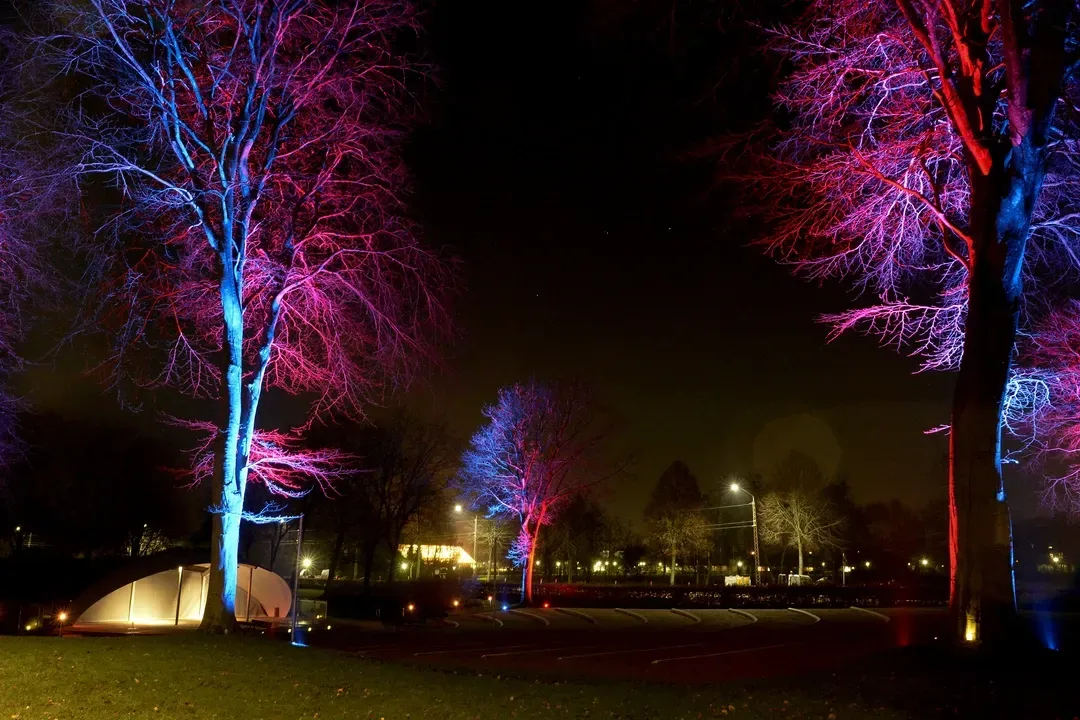 effektlys til træer belyst med LED nedgravning. belyste træer i park