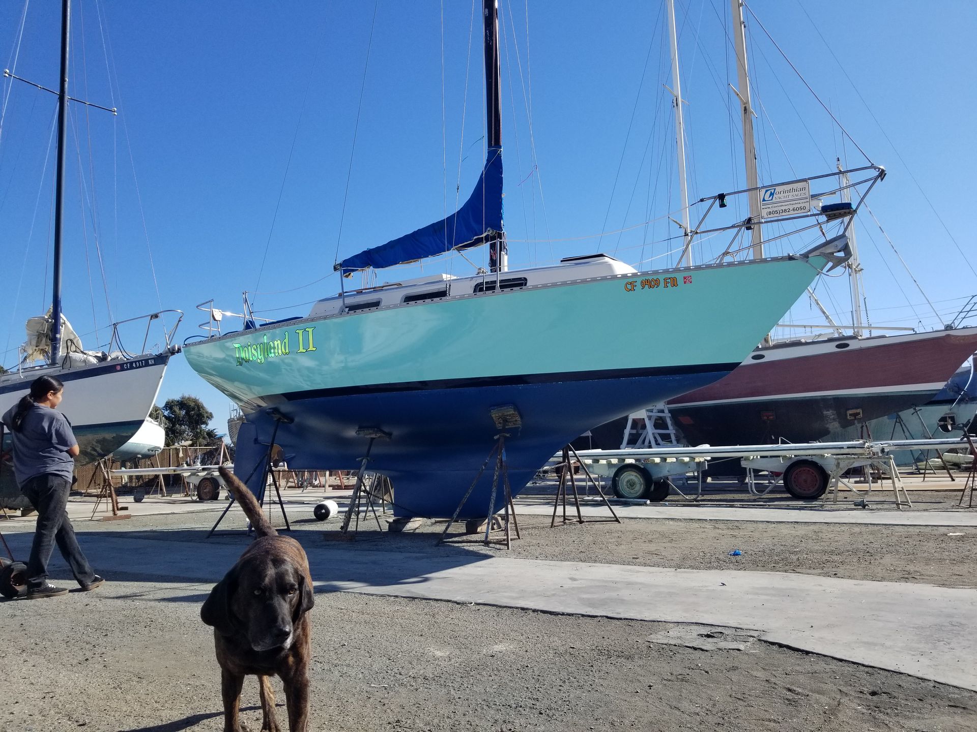 A turquoise sailboat on stands in a boatyard. A person and dog walk nearby on a sunny day.