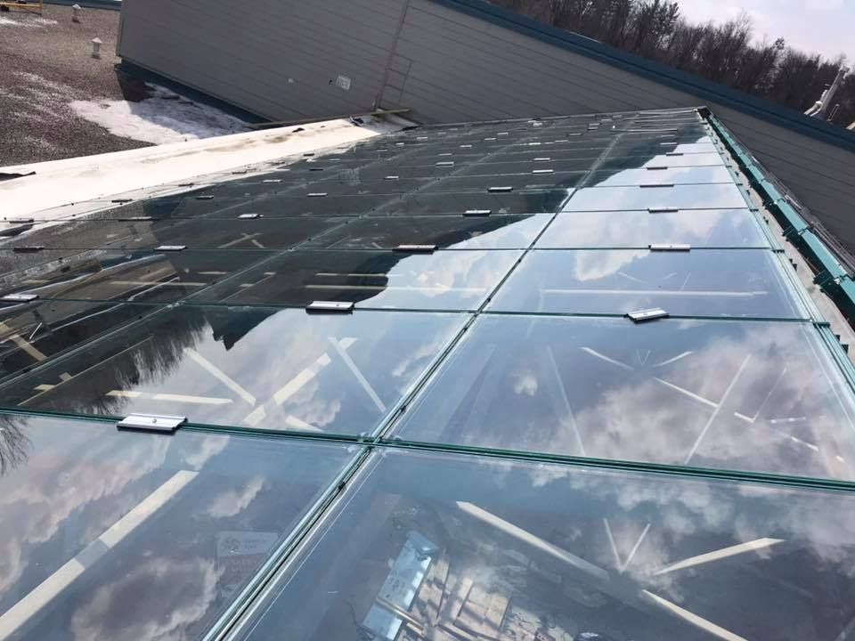 A glass roof with a reflection of trees in it