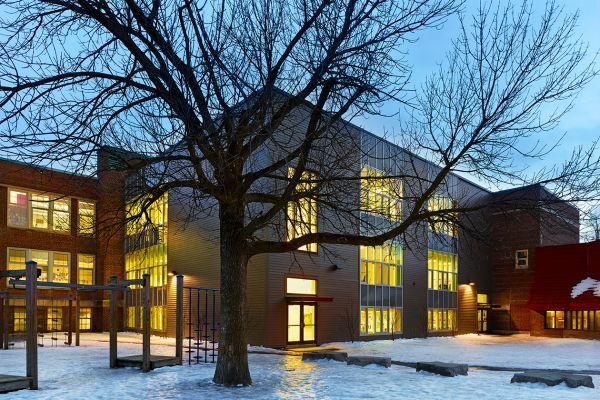 A large building with a lot of windows and a tree in front of it