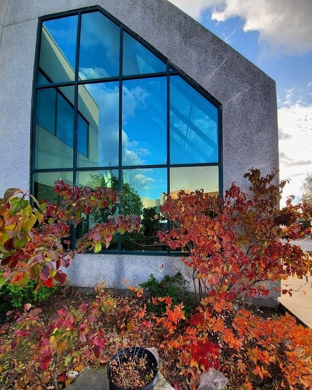 A building with a blue sky reflected in the windows