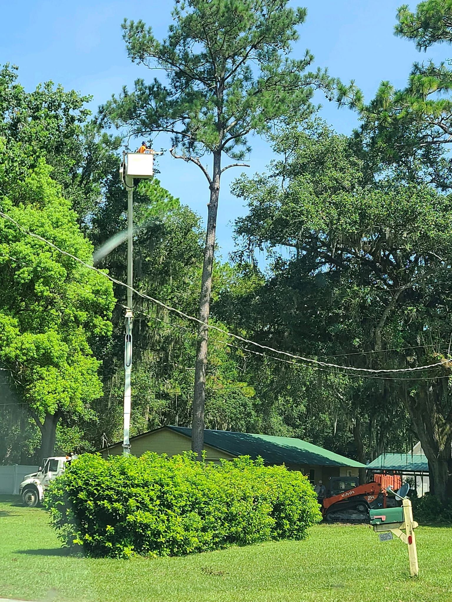 Land, Lawn, and Home Services Live Oak, FL Busy Bee