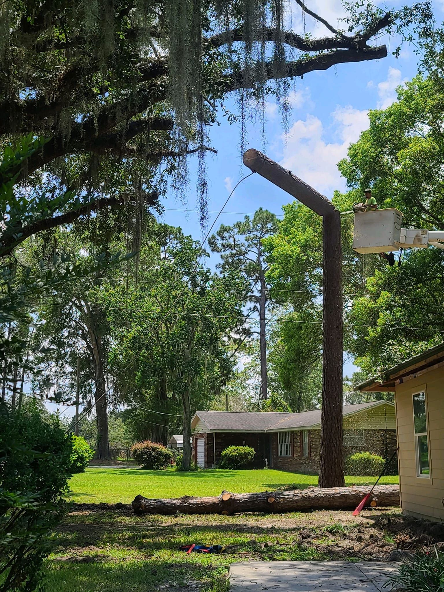 Land, Lawn, and Home Services Live Oak, FL Busy Bee