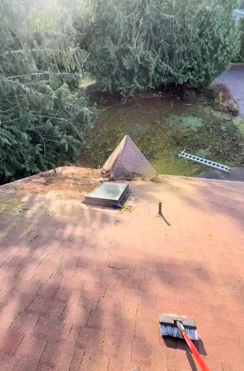 A roof with a skylight and a brush on it.