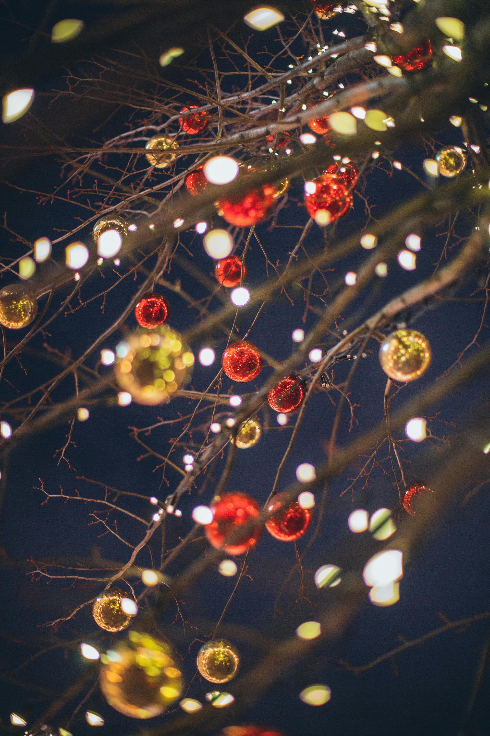 Christmas decorations are hanging from a tree at night.