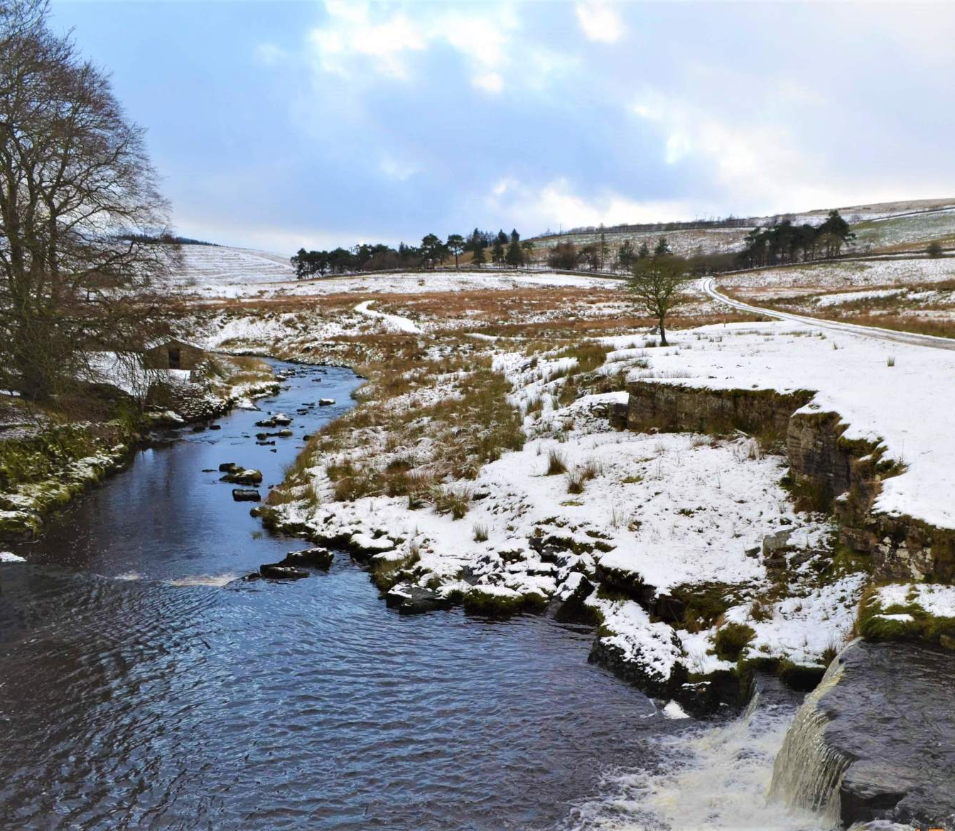 A beautiful steam near to Garsdale vegan bed and breakfast
