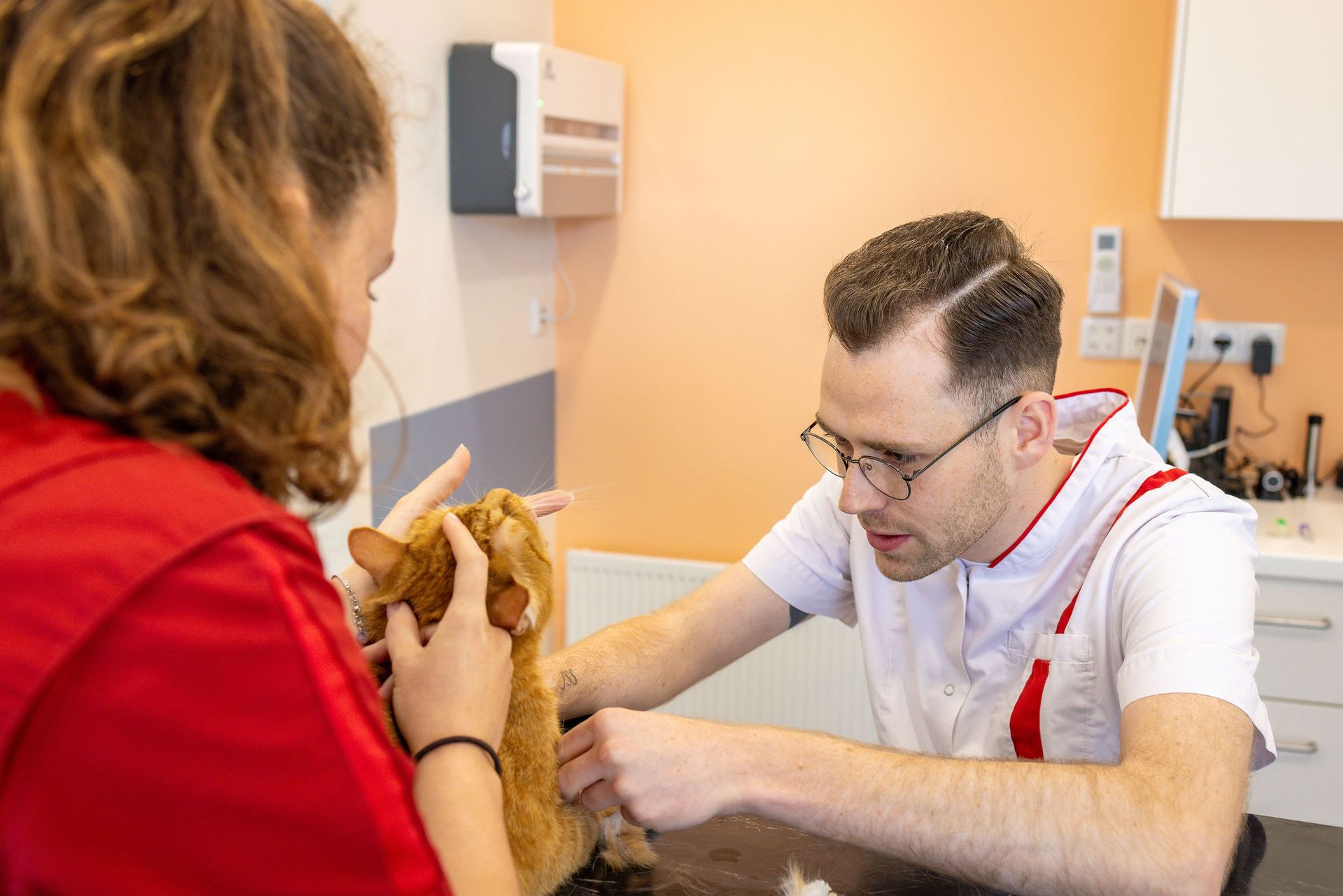 Dierenarts onderzoekt een kat tijdens een consult bij Dierenkliniek Capelle