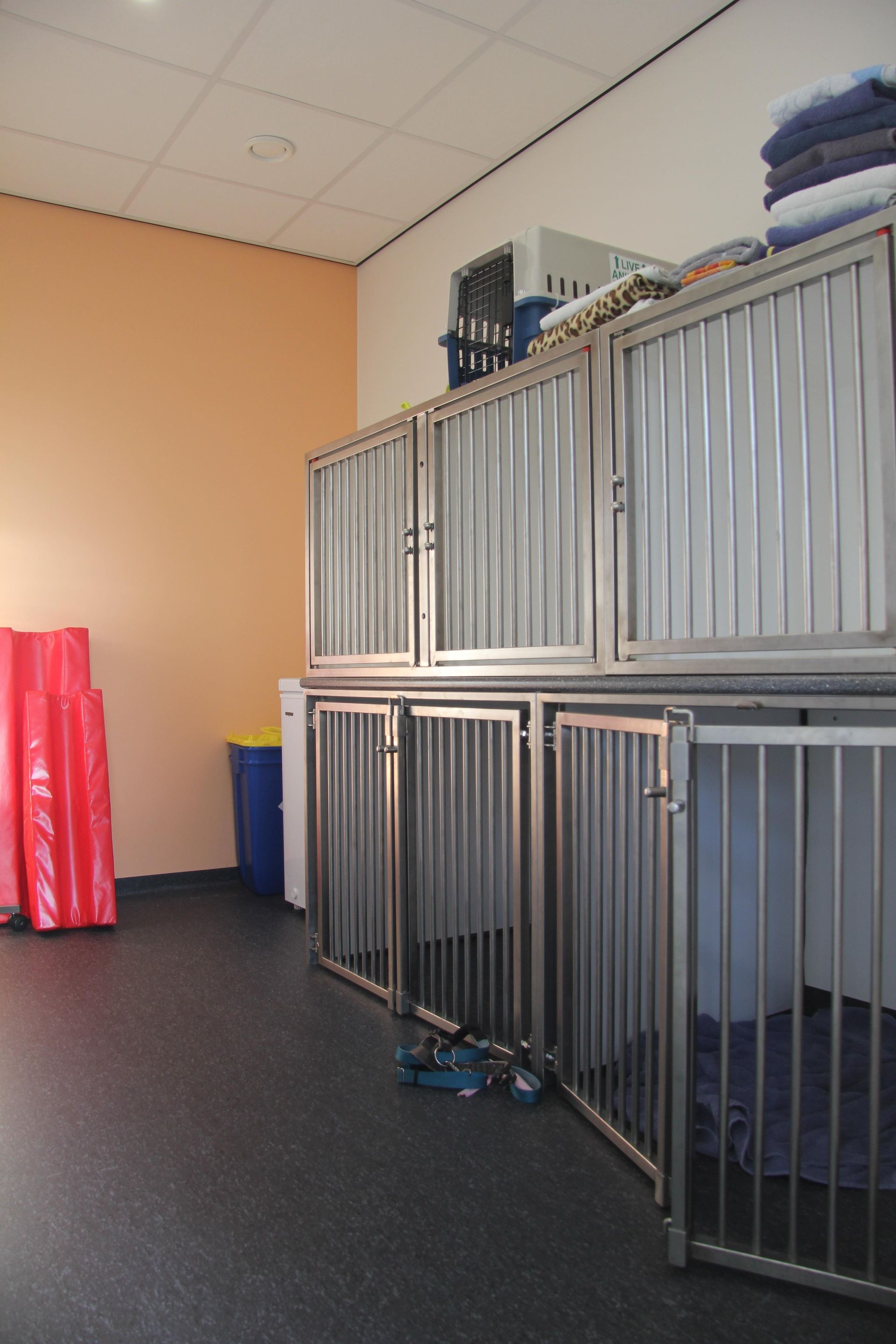 Een kennel in het interieur met lege metalen hondenkooien, een donkere vloer en opgevouwen dekens erop.
