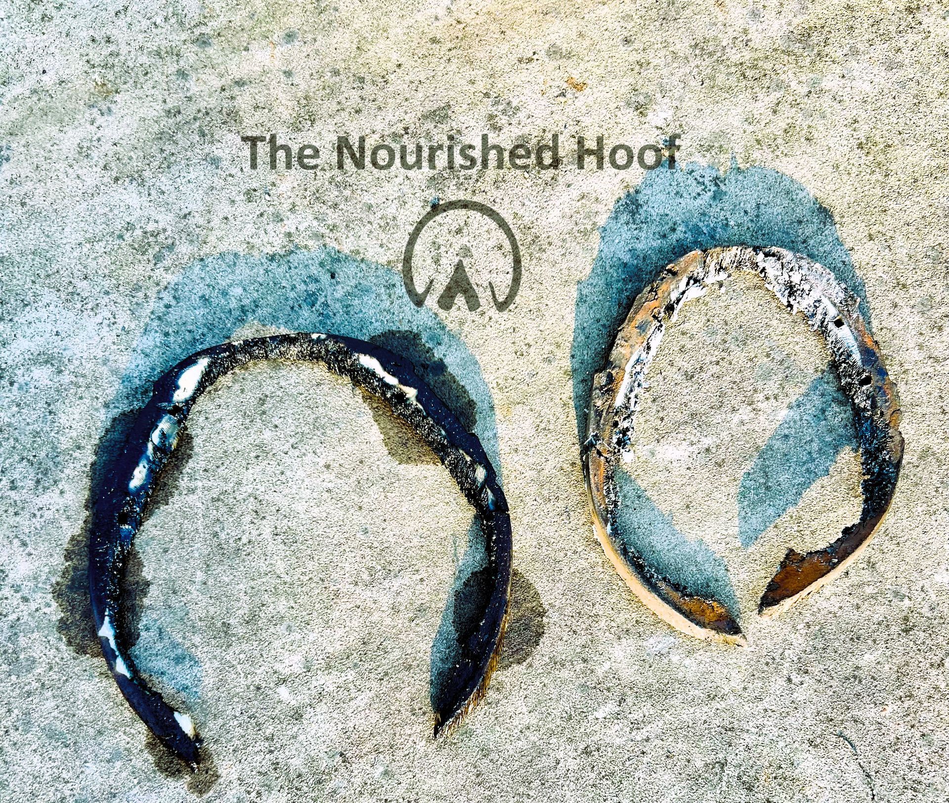 farrier finish sun exp 2 