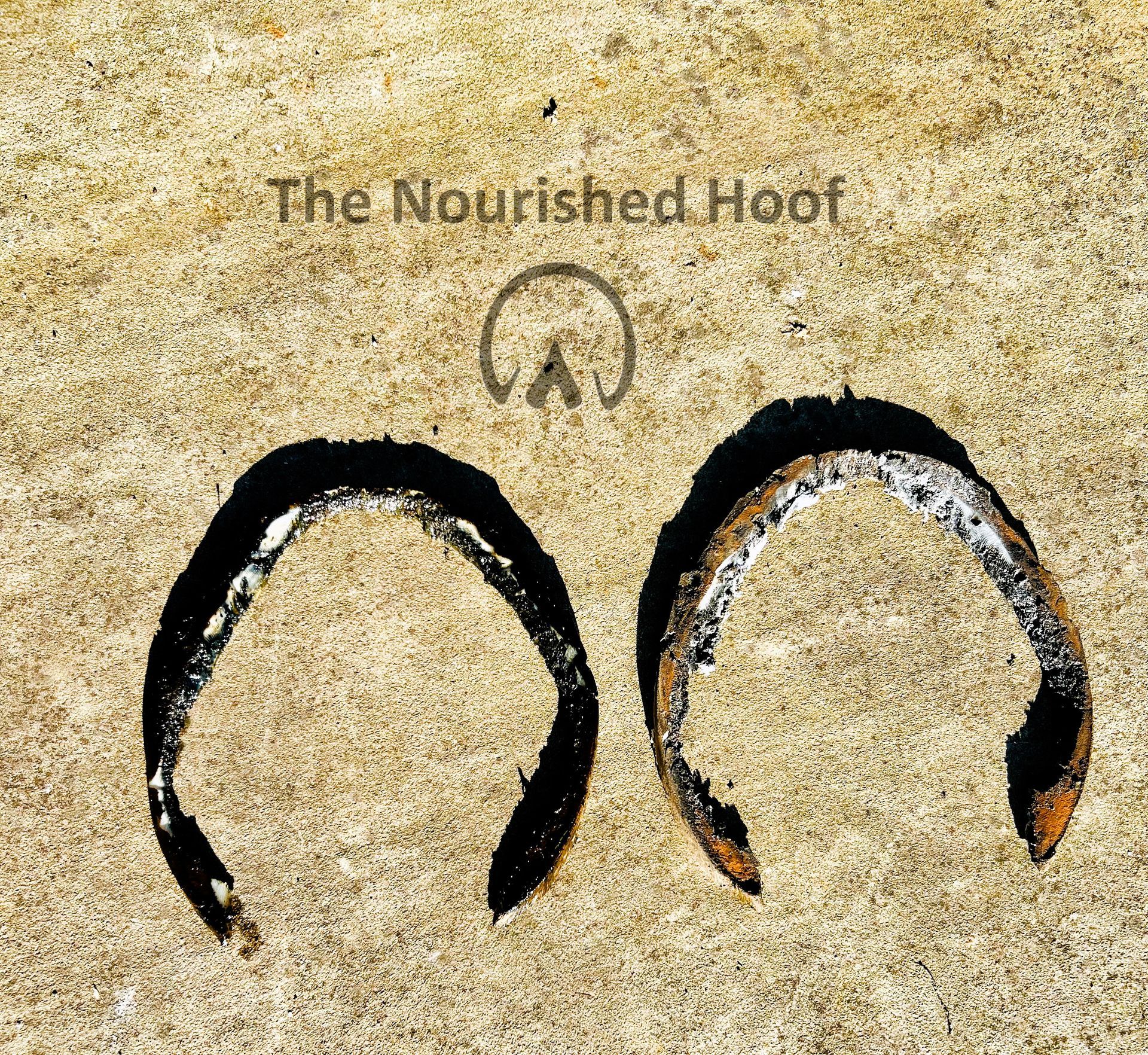 Farrier finish sun experiment 