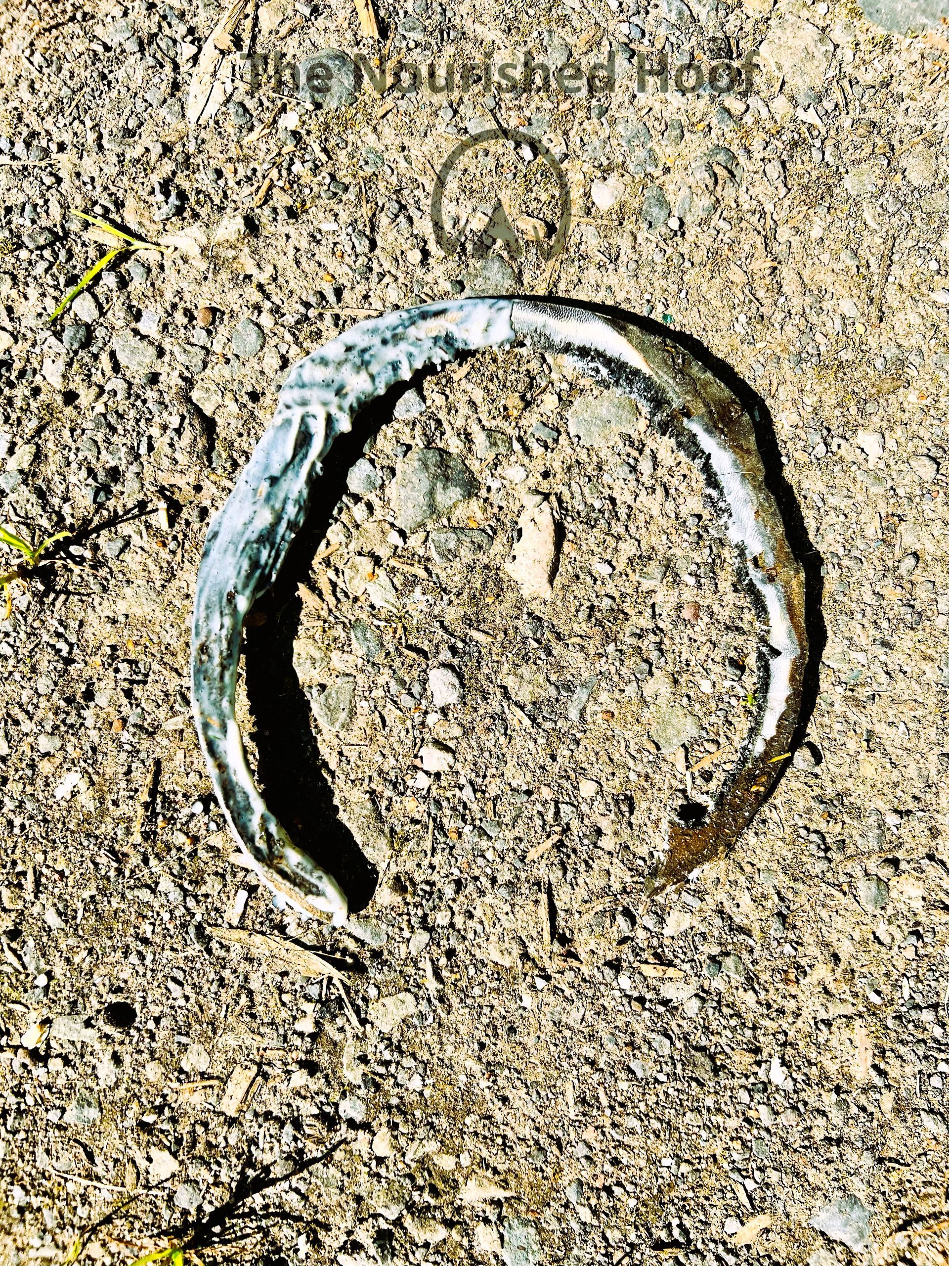 emollient experiment 1 