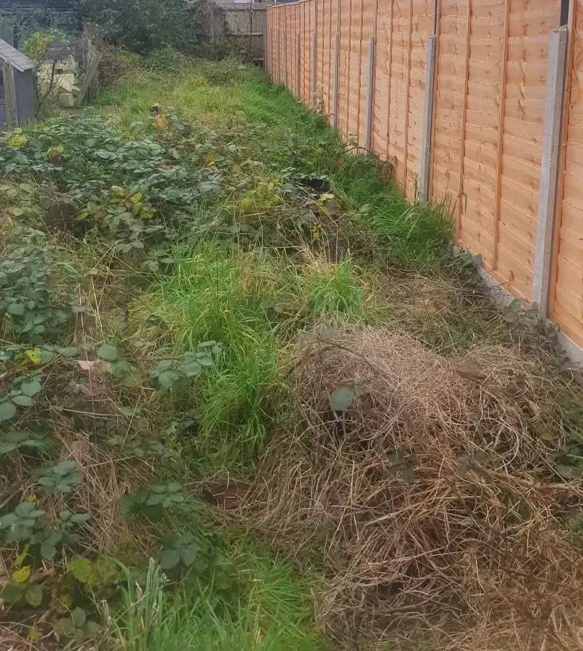 Garden Clearance Company in Selly Oak