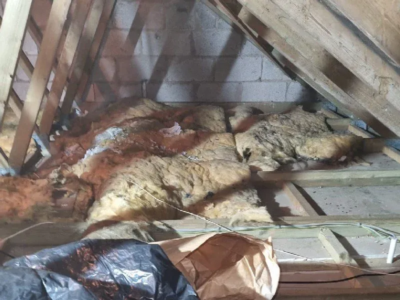 House and Loft Clearance