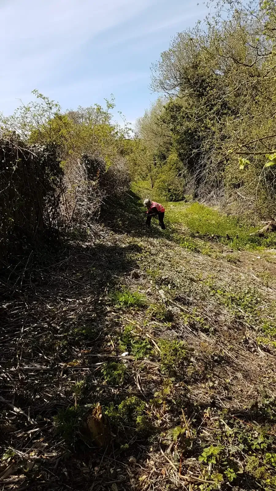 We clear overgrown gardens in Lickey