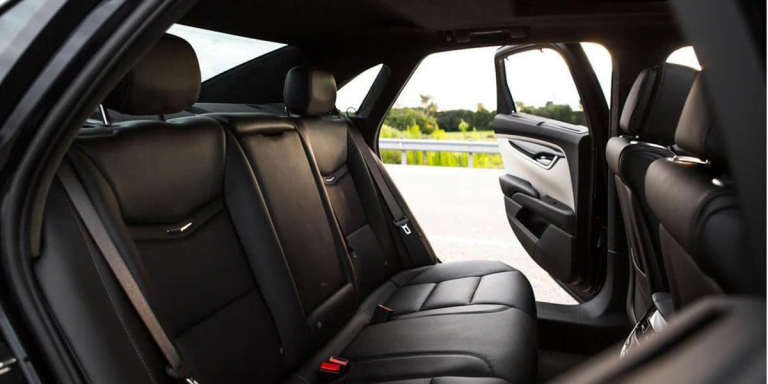 Black leather car interior with open door, showing back seats.