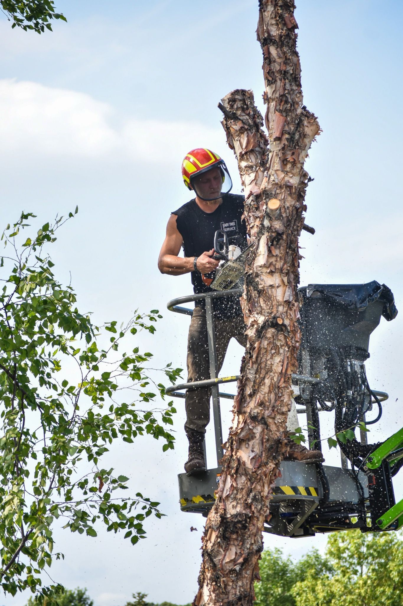 easy-tree-service-tree-removal-cutter
