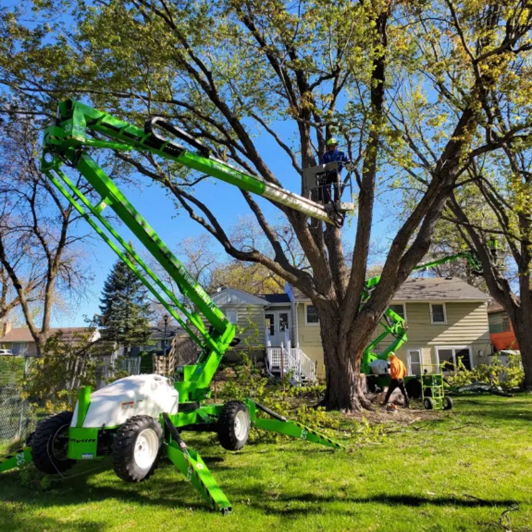 Two tree service workers trim a large tree with a green lift in a residential yard.