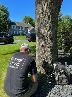 Man from Easy Tree Service kneeling near a tree, with equipment on the ground.