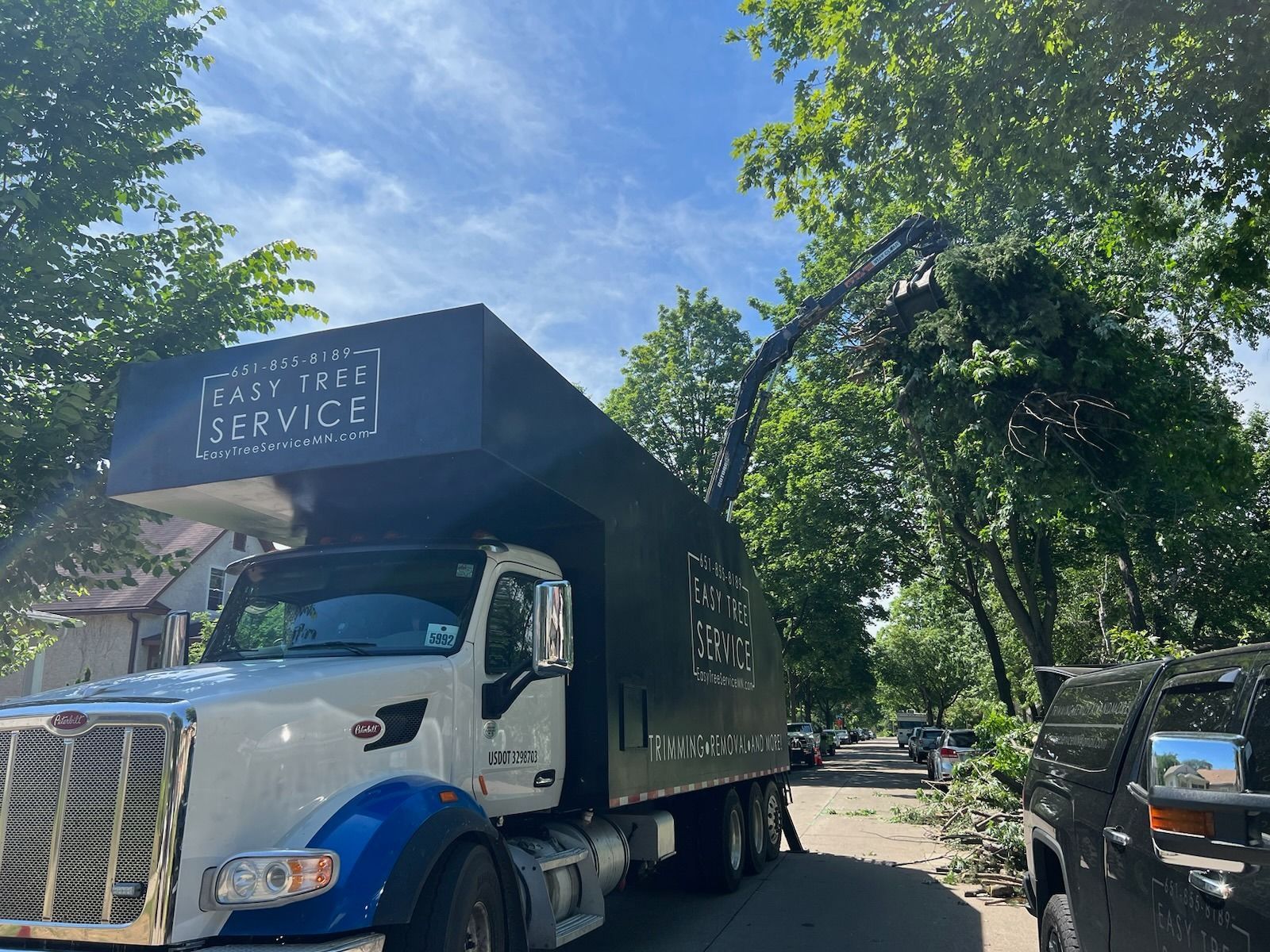 easy-tree-service-tree-trimming-cutter