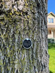Close-up of a tree trunk with a round, black metal marker attached that says 