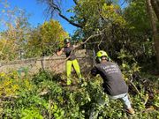 Two people trimming branches near a fence; one in bright pants, both wearing helmets.