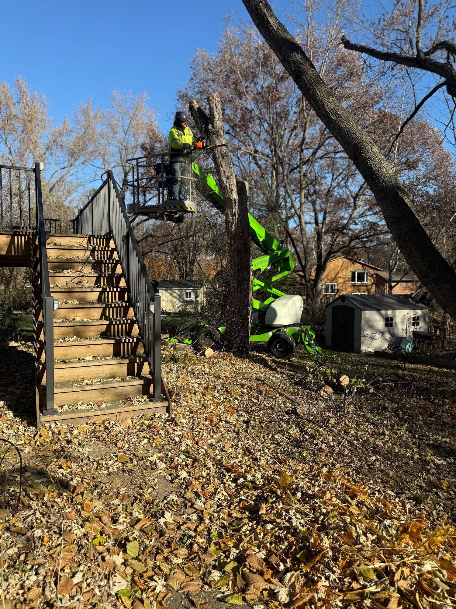 A worker in a lift trims a tree near a deck. Fallen leaves cover the ground. Sunny day.