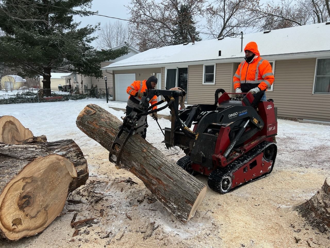 Two workers in orange vests use a mini-skid steer with a chainsaw to cut a log in a snowy yard.